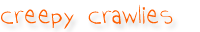 creepy crawlies